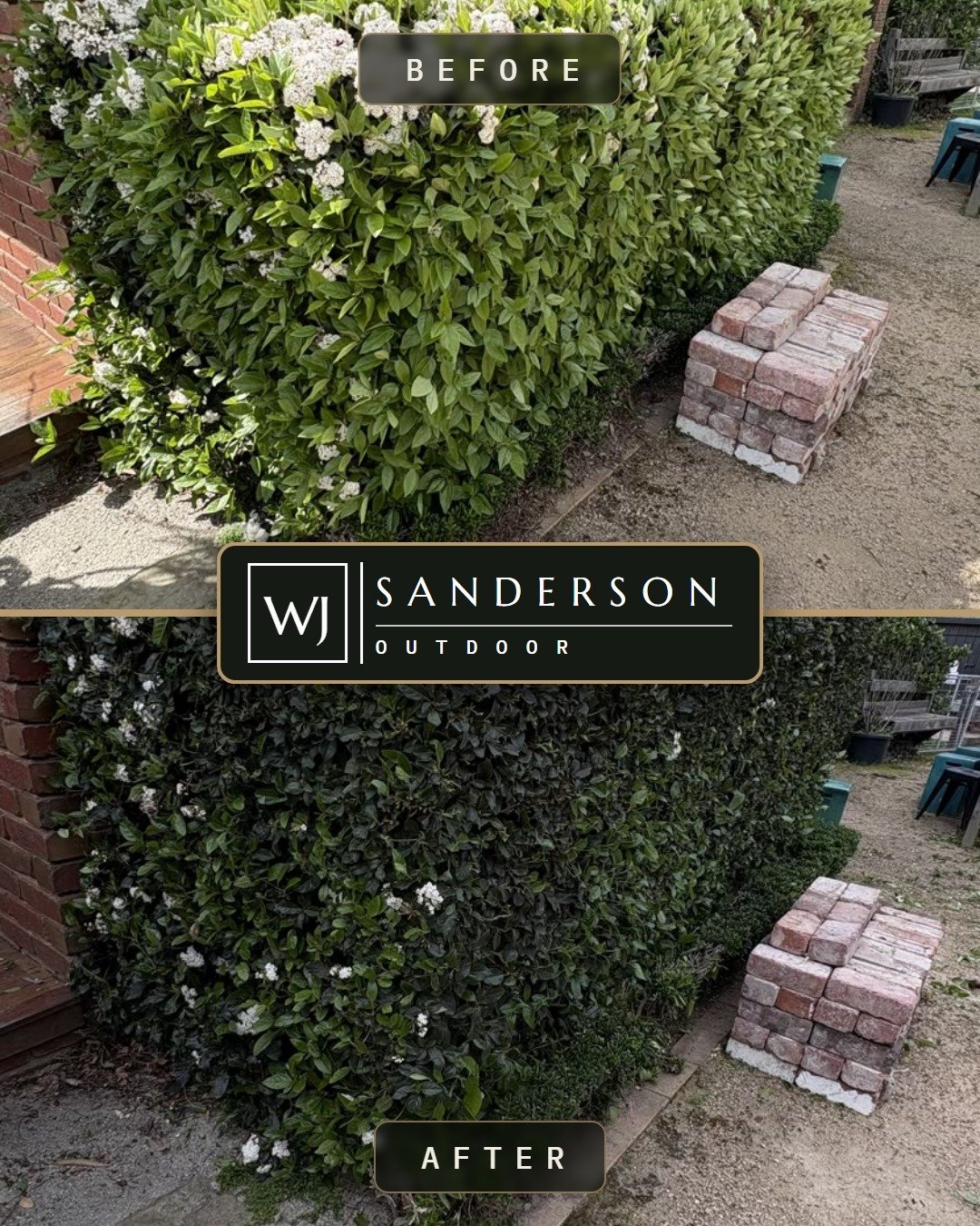 Before and after hedge trimming in Geelong: a corner hedge shaped square